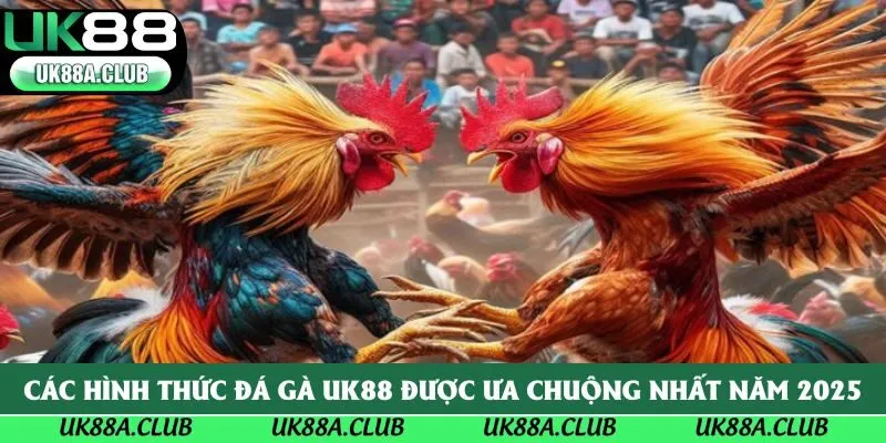Các hình thức đá gà Uk88 được ưa chuộng nhất năm 2025