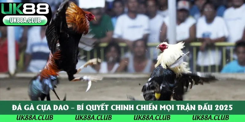 Đá Gà Cựa Dao – Bí Quyết Chinh Chiến Mọi Trận Đấu 2025
