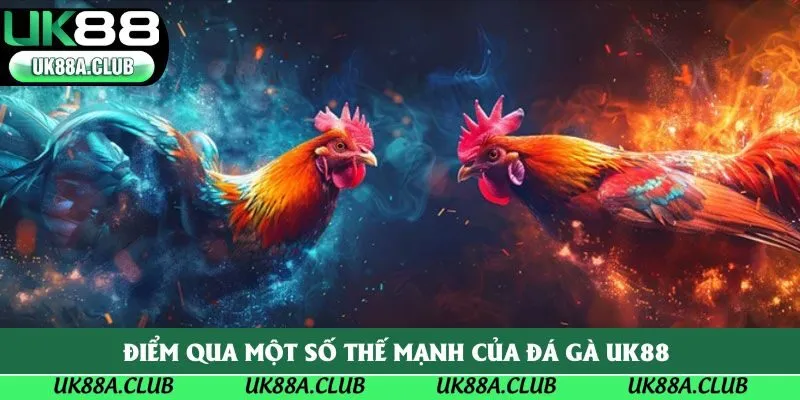 Điểm qua một số thế mạnh của đá gà Uk88 