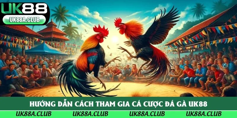 Hướng dẫn cách tham gia cá cược đá gà Uk88