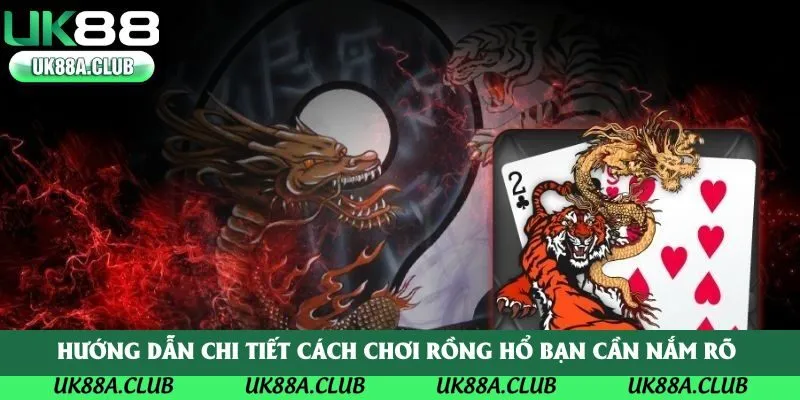 Hướng dẫn chi tiết cách chơi rồng hổ bạn cần nắm rõ 