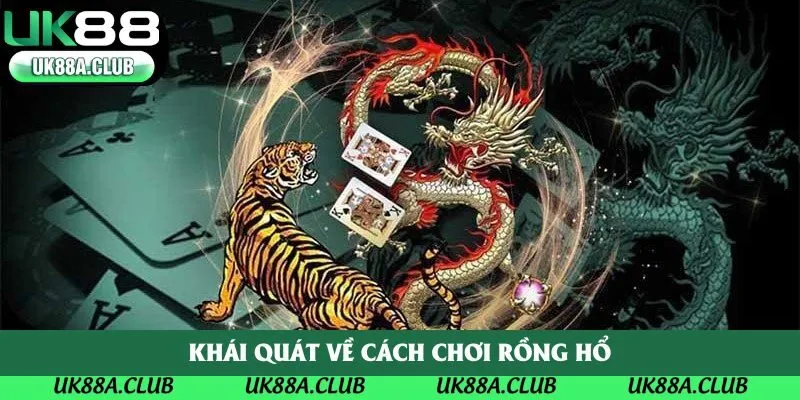Khái quát về cách chơi rồng hổ